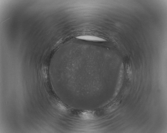 X0000060790232200512011714