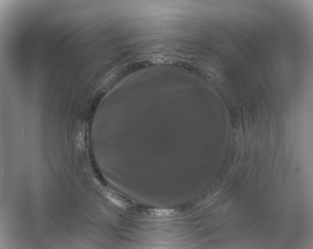 X0000060790233200512011714