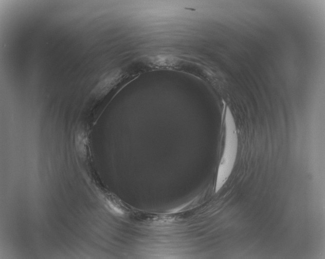 X0000060790235200512011714