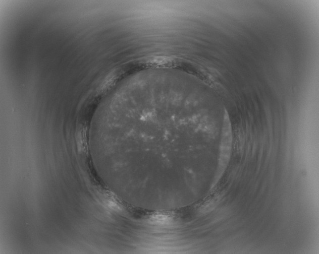 X0000060790236200512011714