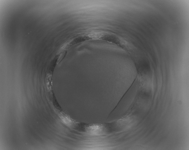 X0000060790237200512011714