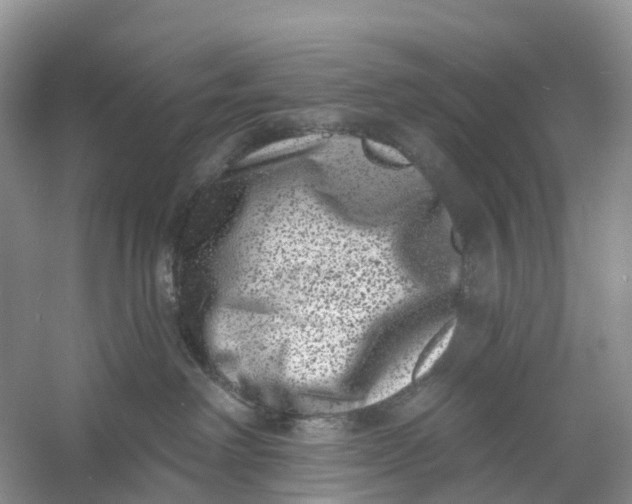 X0000060790238200512011714