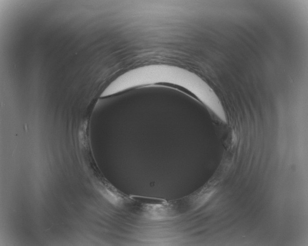 X0000060790239200512011714