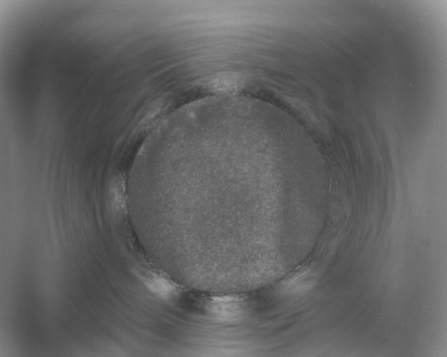 X0000060790240200512011714