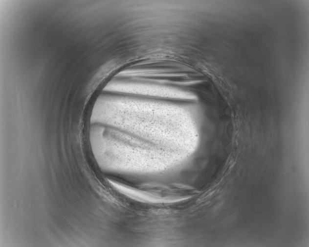 X0000060790242200512011713