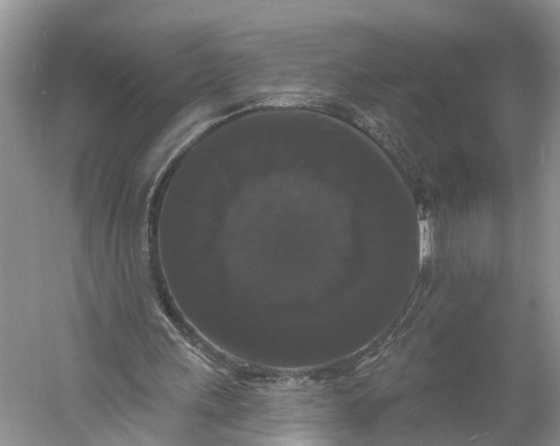 X0000060790243200512011713