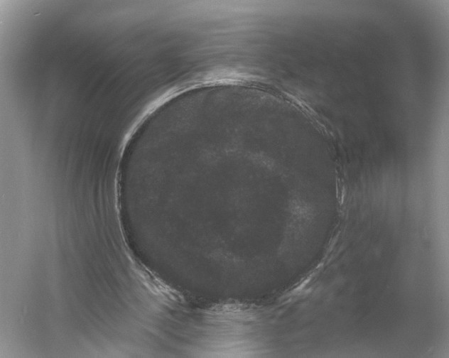 X0000060790244200512011713