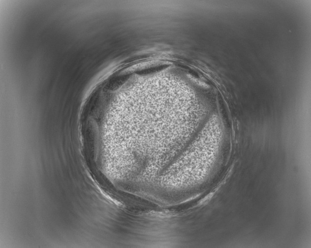 X0000060790245200512011713