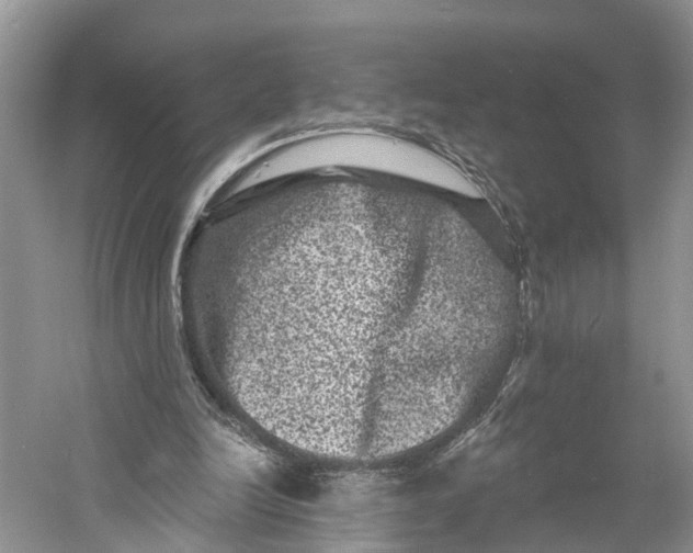 X0000060790246200512011713