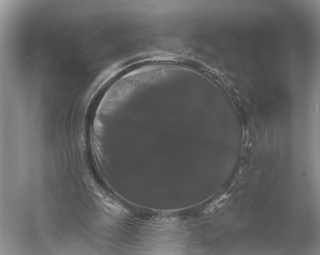 X0000060790247200512011713