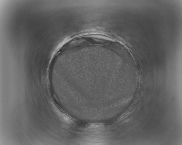 X0000060790248200512011713