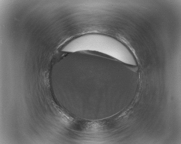 X0000060790249200512011713