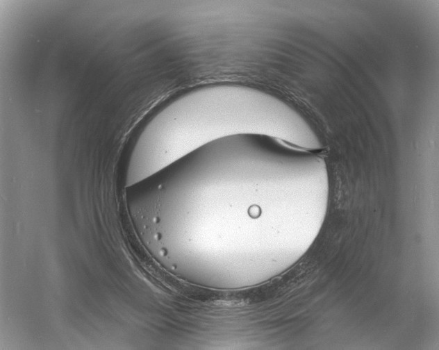 X0000060790251200512011713