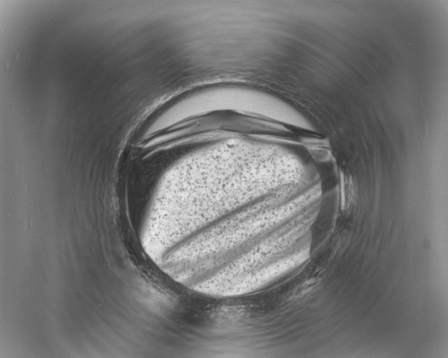 X0000060790252200512011713