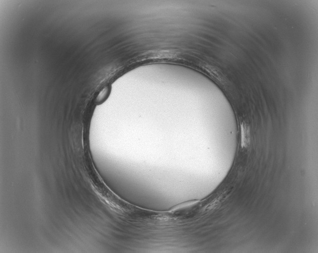 X0000060790253200512011714