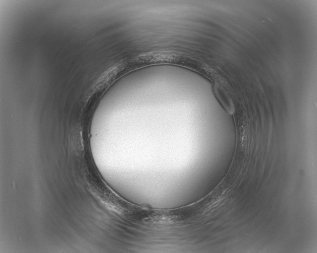 X0000060790254200512011714