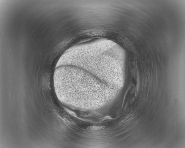 X0000060790255200512011714