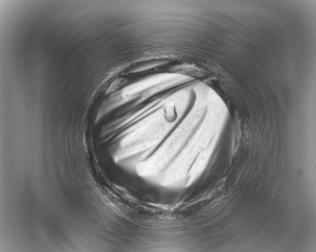 X0000060790256200512011714