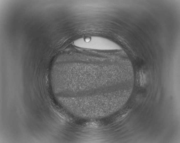 X0000060790259200512011714