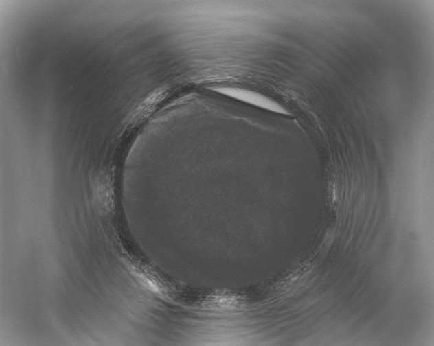 X0000060790260200512011714