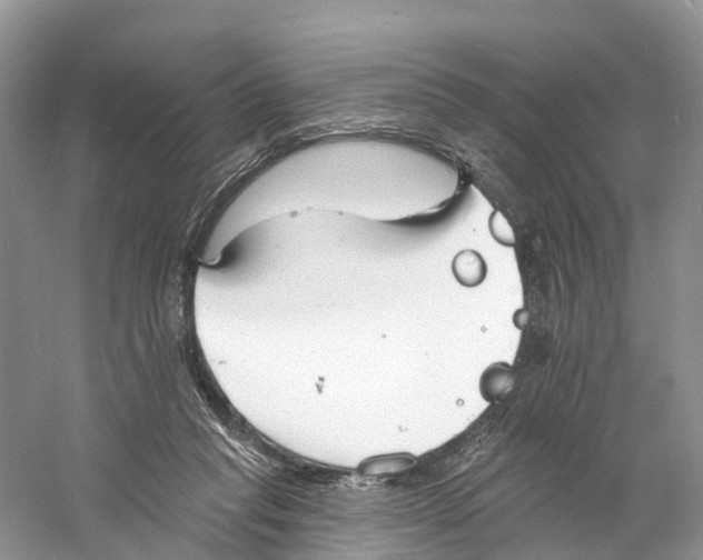 X0000060790261200512011714