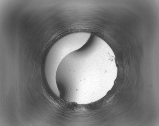 X0000060790262200512011714