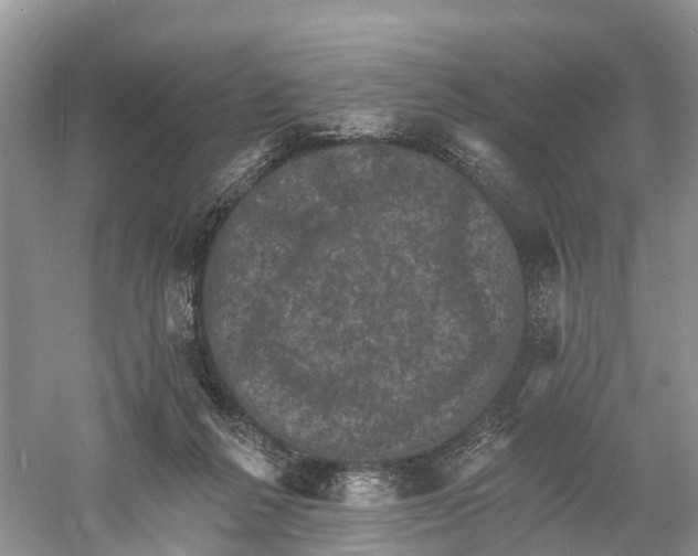 X0000060790264200512011714