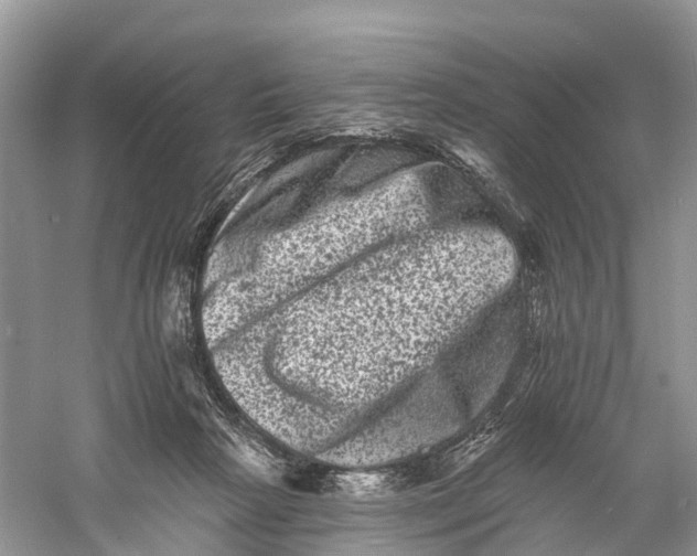 X0000060790265200512011714