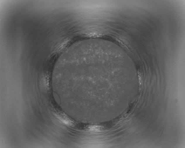 X0000060790268200512011714