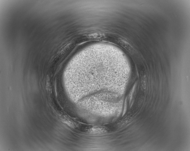 X0000060790270200512011714