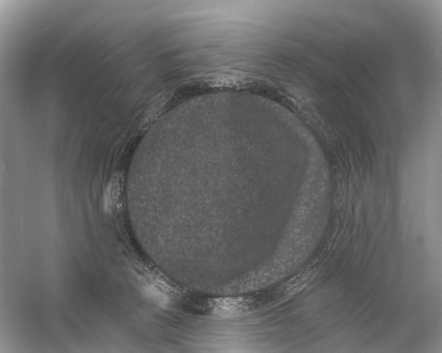 X0000060790273200512011714