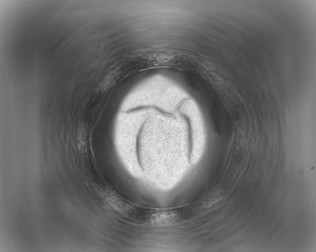 X0000060790274200512011714