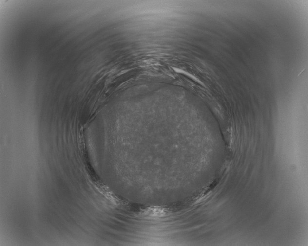 X0000060790276200512011714