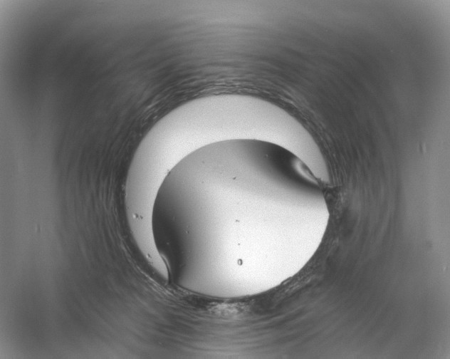 X0000060790277200512011714