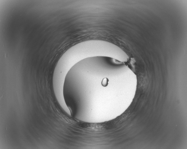 X0000060790278200512011714