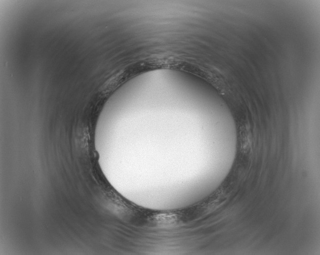 X0000060790279200512011714