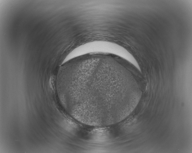 X0000060790280200512011714