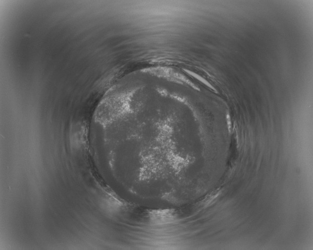 X0000060790281200512011714