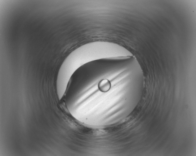 X0000060790287200512011714