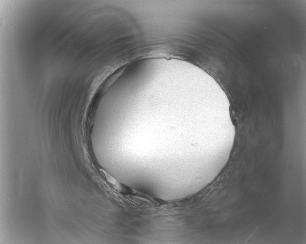 X0000060790289200512011713