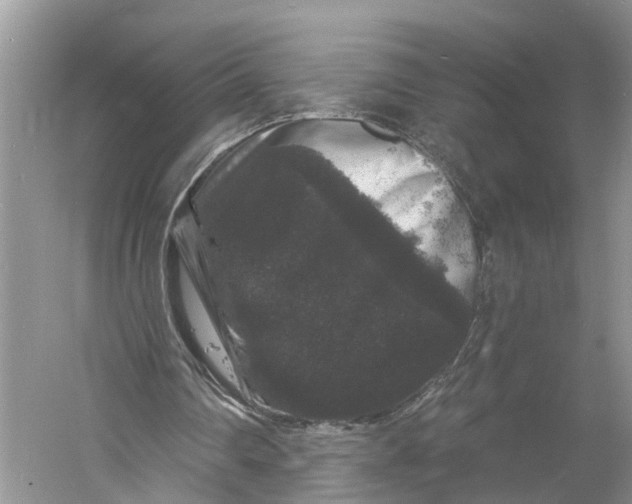 X0000060790290200512011713