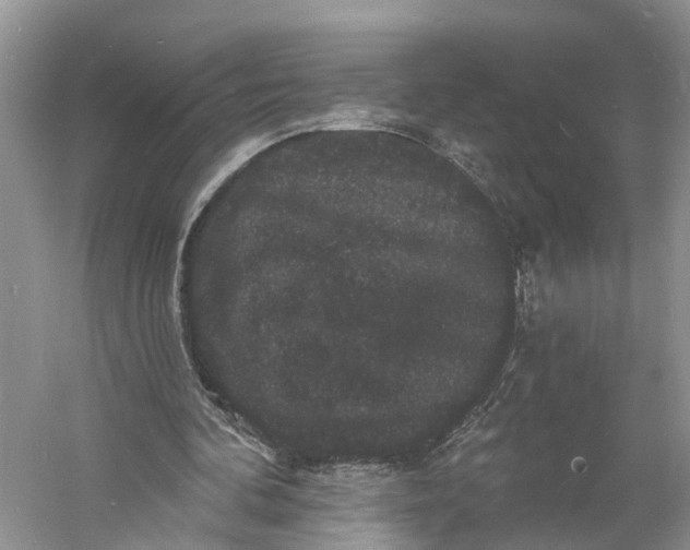 X0000060790292200512011713