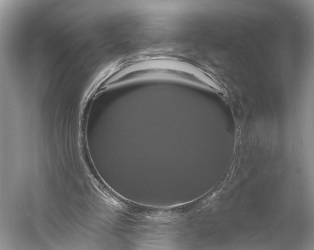 X0000060790293200512011713