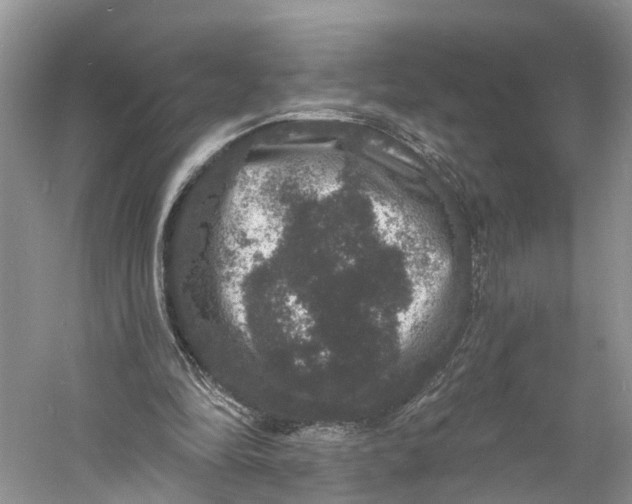 X0000060790294200512011713