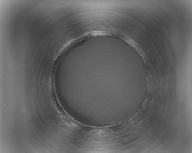 X0000060790297200512011713