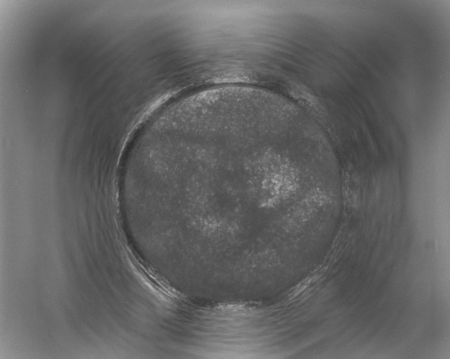 X0000060790298200512011713