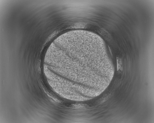 X0000060790300200512011713