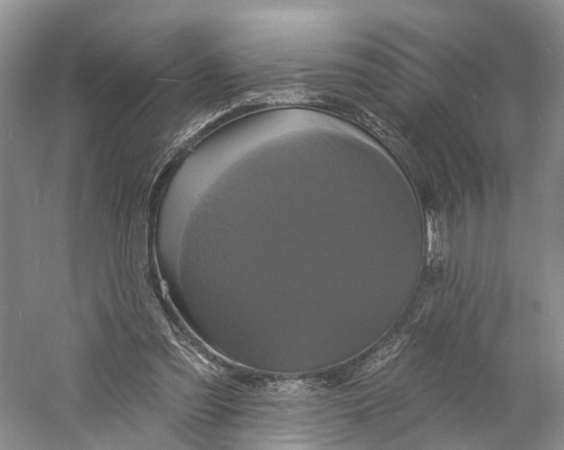 X0000060790301200512011713