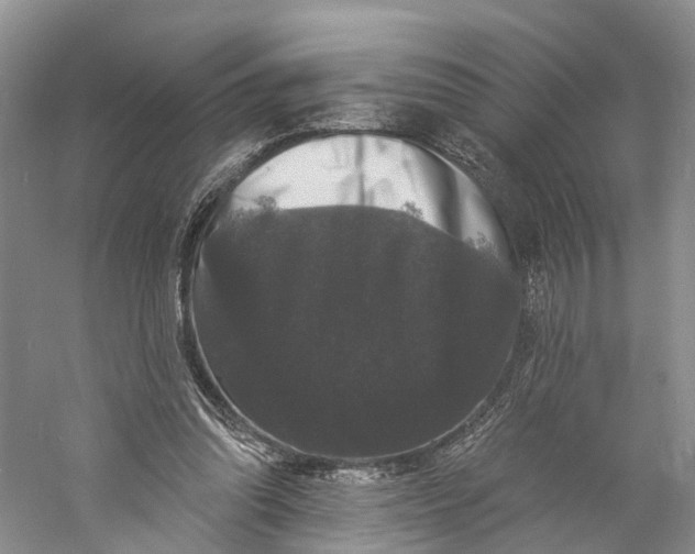 X0000060790302200512011713