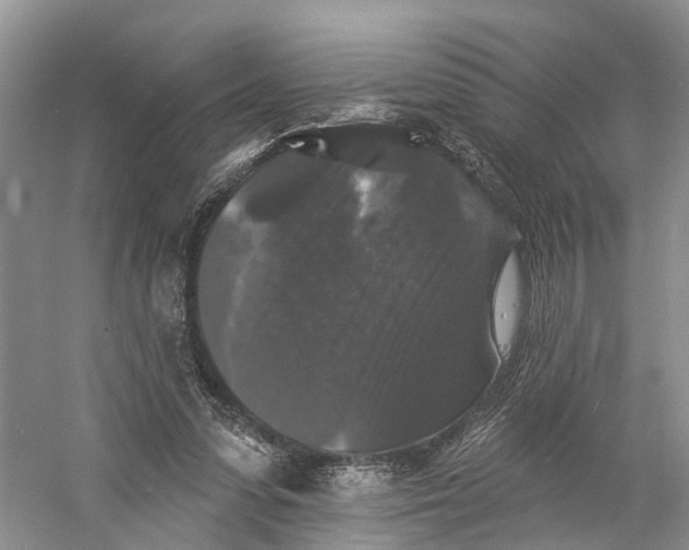 X0000060790303200512011713